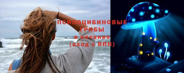 стаф Протвино