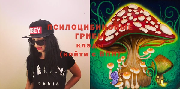 дмт Абинск