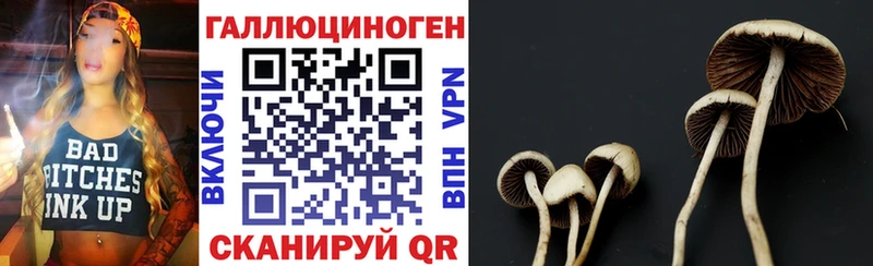 Галлюциногенные грибы Psilocybine cubensis  где купить наркоту  Талдом 